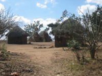Замбия фото #13903