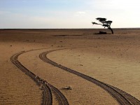 Западная Сахара фото #10456