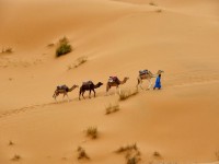 Западная Сахара фото #10458