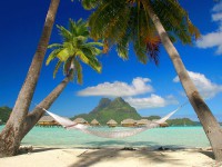 Французская Полинезия фото #3336