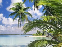 Французская Полинезия фото #3337