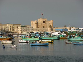 Александрия фото #13246