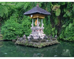 Остров Бали фото #10233