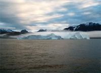 Плывущие к Новой Зеландии айсберги стали туристическим аттракционом