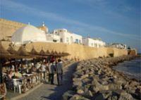 Тунис готов принимать больше российских туристов