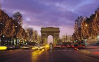 Мэрия Парижа защитит памятники от голубей