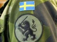 Шведские военные "кастрировали" льва на своей эмблеме