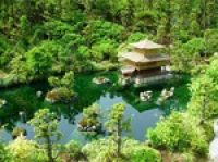 Япония: национальному парку требуется лесоповал 