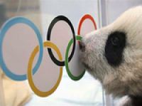  Китай информирует гостей Олимпиады о китайских правилах хорошего тона