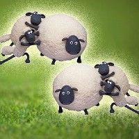 Пенопластовые овцы веселят жителей Тель-Авива 
