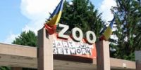 Румыния должна закрыть половину своих зоопарков