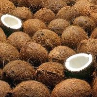 	  Тысячи кокосов-"черепов» разложены на пляже Копакабана 