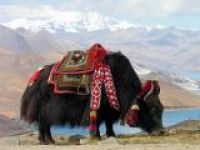 Китай разрешил иностранным туристам посещать Тибет