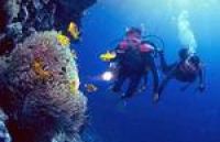 Правительство Мальдив борется за экологию под водой