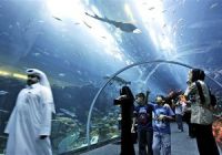 Крупнейший в мире торговый центр эвакуирован из-за трещины в гигантском аквариуме