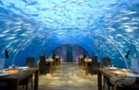 Мальдивский подводный отель оставит посетителей на ночь