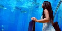 Отель на Мальдивах предлагает провести брачную ночь под водой