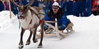Шведский город Кируна приглашает на фестиваль снега