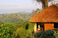 Уганда: отпуск на кофейной плантации