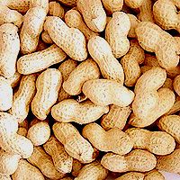 В США запретят кормить авиапассажиров арахисом