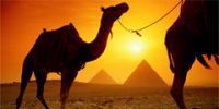 Египет не станет ужесточать визовый режим
