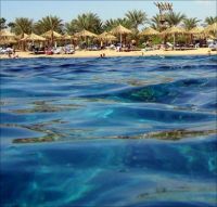 Египетские гостиницы в шоке от новых мер безопасности