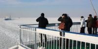 Ледовая обстановка в Финском заливе срывает паромное сообщение между Петербургом и Хельсинки
