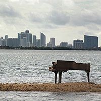 Раскрыта тайна одинокого рояля на песчаной отмели в Майами
