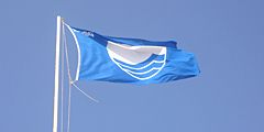 В Латвии гордо развиваются десять "Голубых флагов"