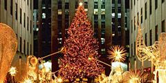 В Нью-Йорке установлена главная рождественская ель