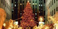 В Нью-Йорке установлена главная рождественская ель