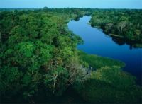 Бразилия предлагает взглянуть с высоты на тропические леса