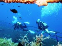 Кипр приглашает к "погружению в глубины моря"