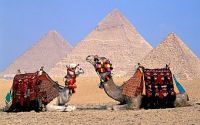 Минтуризма Египта будет субсидировать авиаперевозку в страну