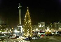 Рождественская елка установлена в Лондоне