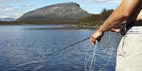Рыбалка в Финляндии подорожает
