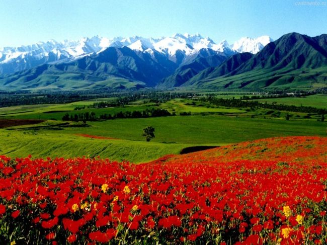 Киргизия заменит туристам Египет и Турцию