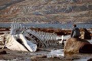 Поклонников фильма «Левиафан» ждут в Мурманской области
