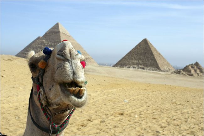 Треть дохода от туризма в Египте от россиян