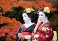 Германия: Дюссельдорф станет центром японской культуры