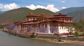 Бутан (Пунакха)