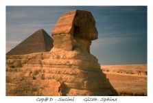 Египет (Каир)