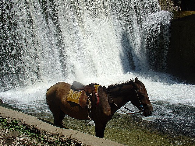 Waterfall - Абхазия фото #2896
