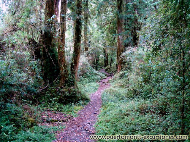 Национальный парк Алерсе Андино - Пуэрто-Монт, Чили фото #3086