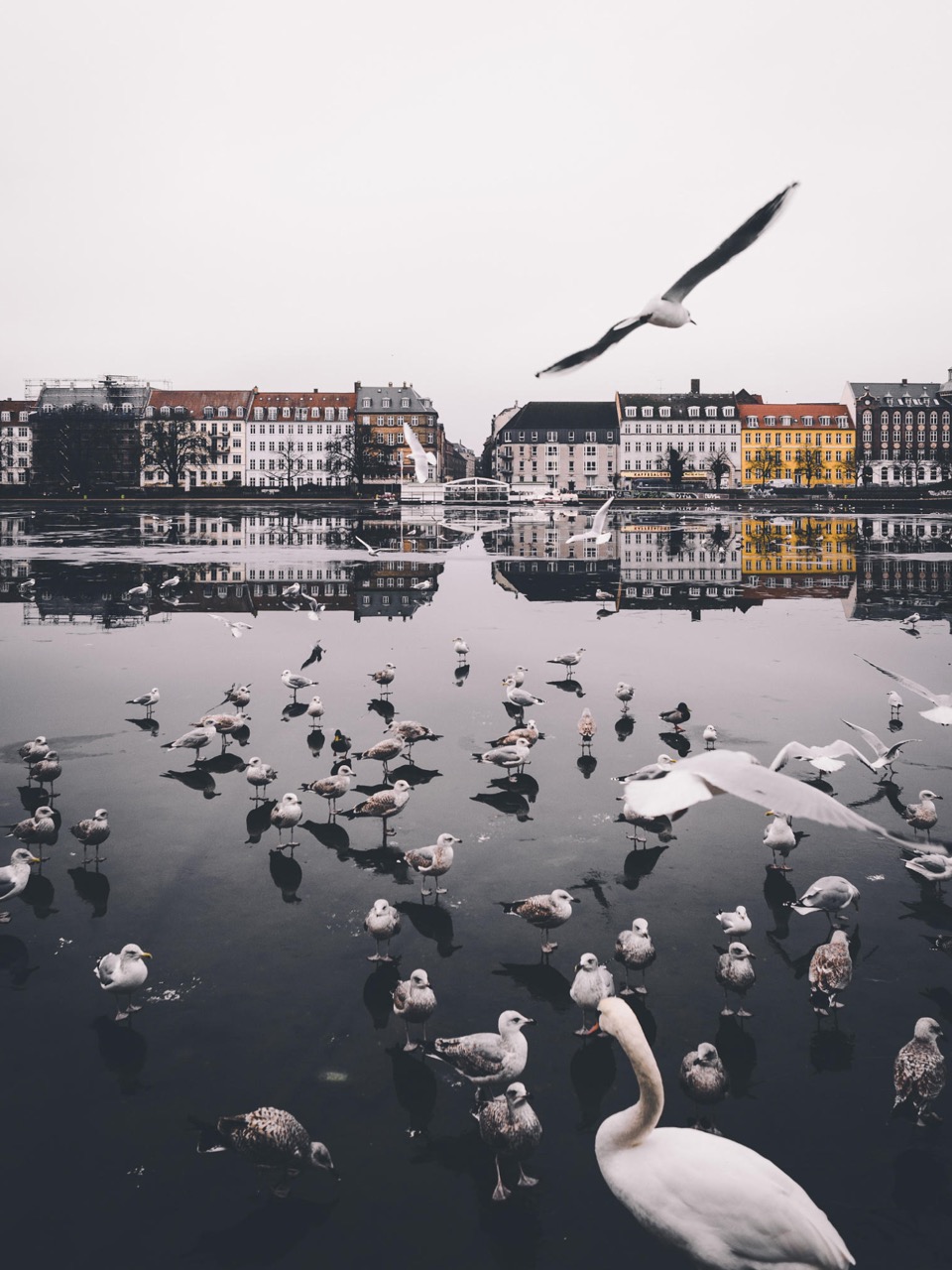 Копенгаген, Дания фото #27129
