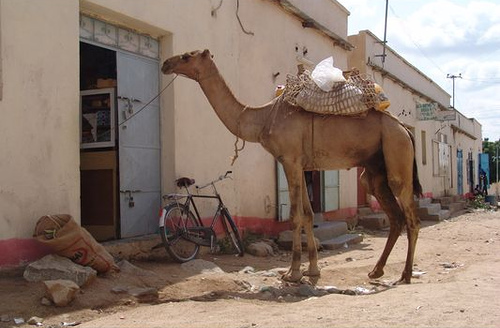 Барэнту, Эритрея фото #11384