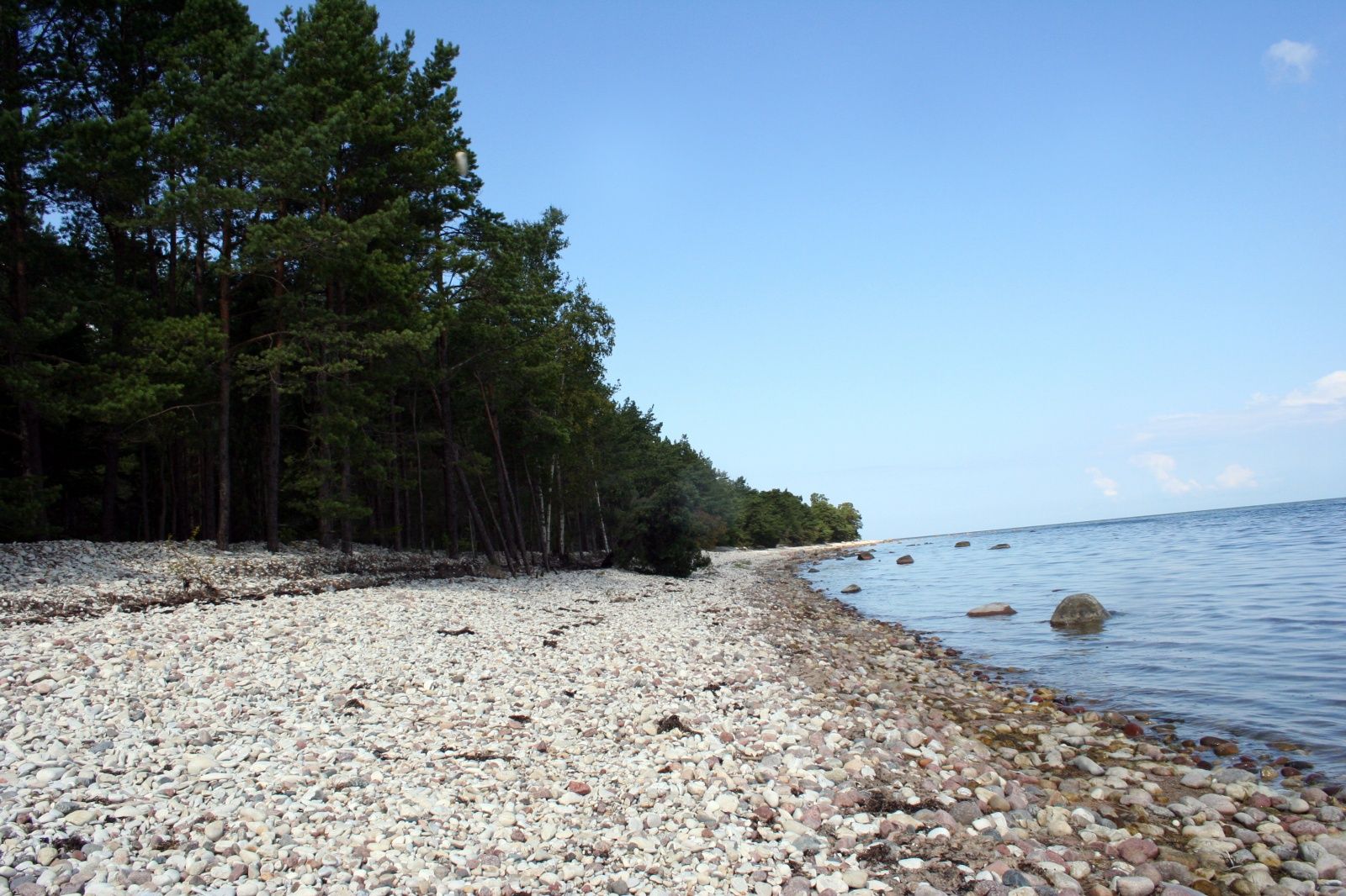 Остров Сааремаа, Эстония фото #23045