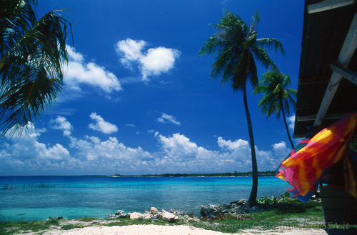 Pareu, breeze and the lagoon - Атолл Рангироа, Французская Полинезия фото #2741