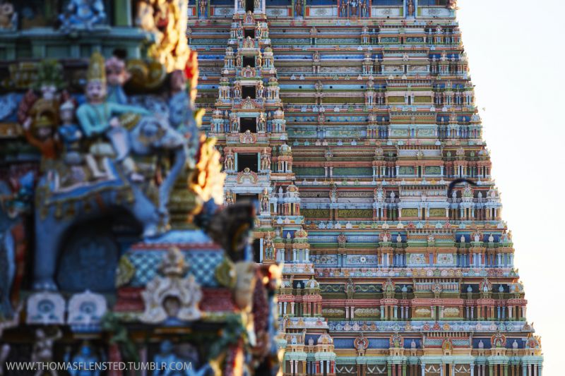 Тамилнад, Индия фото #29170