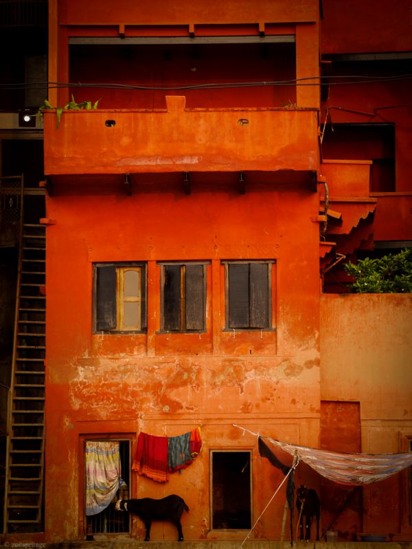 Варанаси, Индия фото #28937